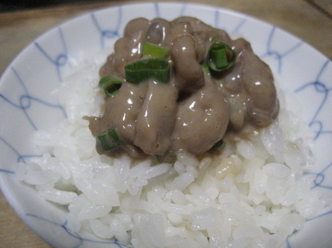 ika-tonnbinosiokara.JPG