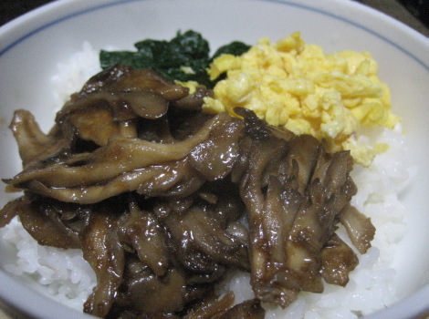 maitake-sannshokudonn.JPG