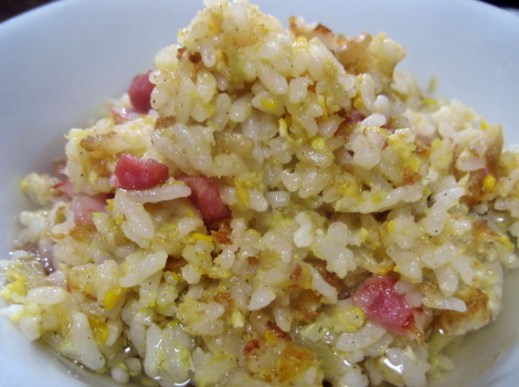 shouganosupuchahann.JPG
