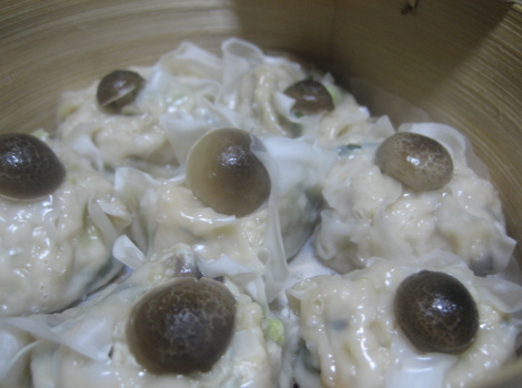 simejitoniranoshuumai.JPG