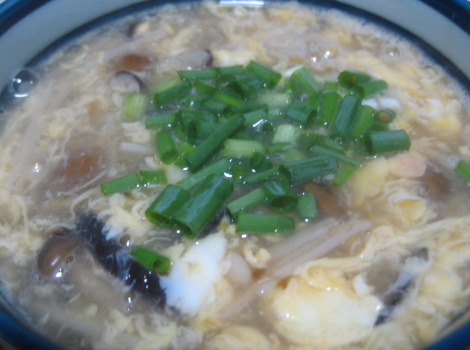 kinokonokakitamajiru.JPG
