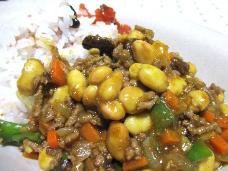 daizu-dry-curry.JPG