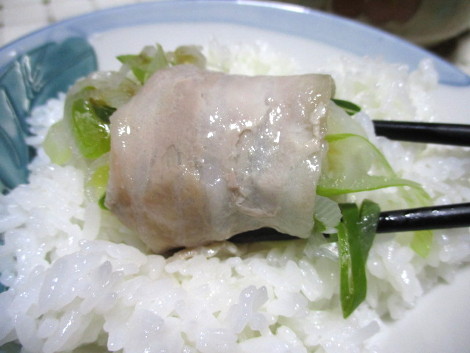 negibutashabu1.JPG